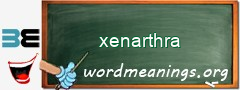 WordMeaning blackboard for xenarthra